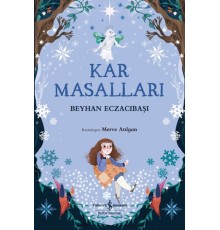 Kar Masalları