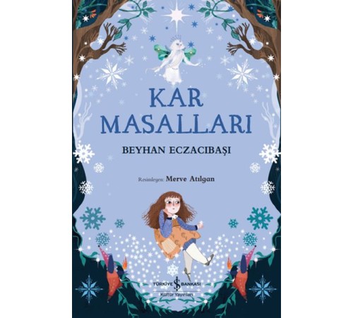 Kar Masalları