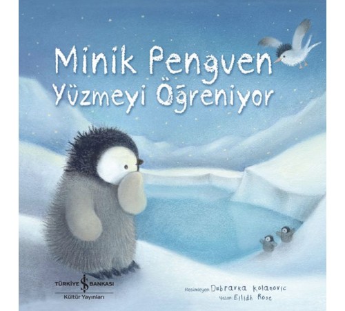 Minik Penguen Yüzmeyi Öğreniyor