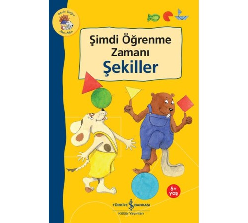 Şimdi Öğrenme Zamanı - Şekiller