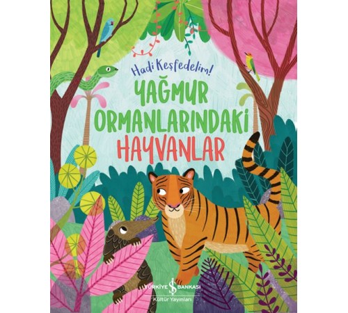 Yağmur Ormanlarındaki Hayvanlar – Hadi Keşfedelim!