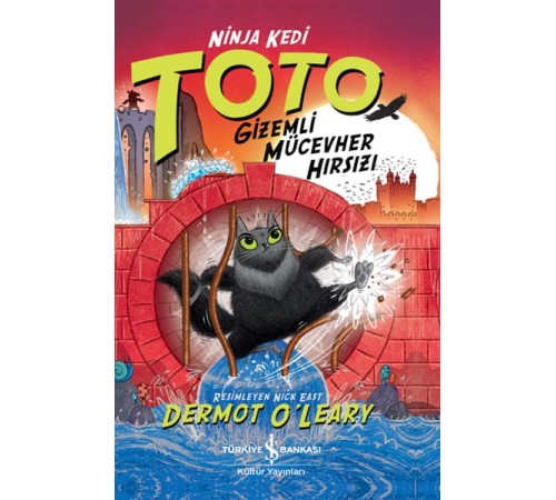 Ninja Kedi Toto – Gizemli Mücevher Hırsızı