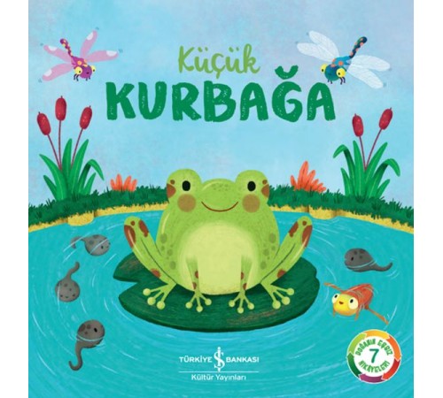 Küçük Kurbağa