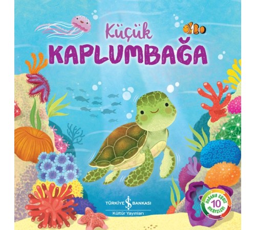 Küçük Kaplumbağa Küçük Kaplumbağa