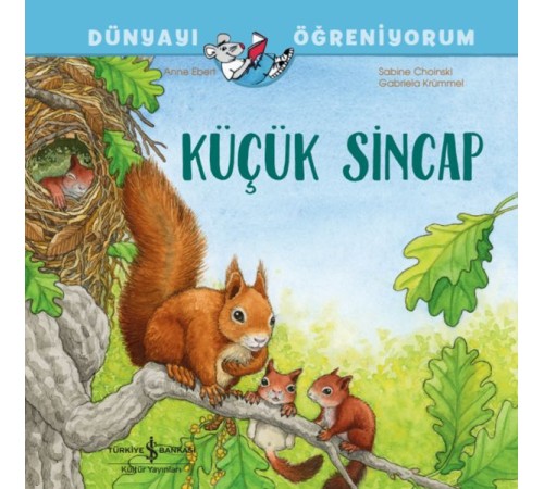 Küçük Sincap Dünyayı Öğreniyorum Küçük Sincap Dünyayı Öğreniyorum