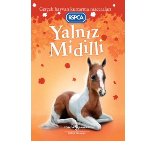 Yalnız Midilli Yalnız Midilli