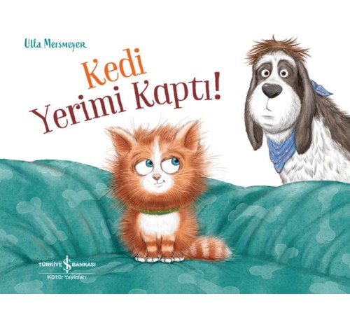 Kedi Yerimi Kaptı!