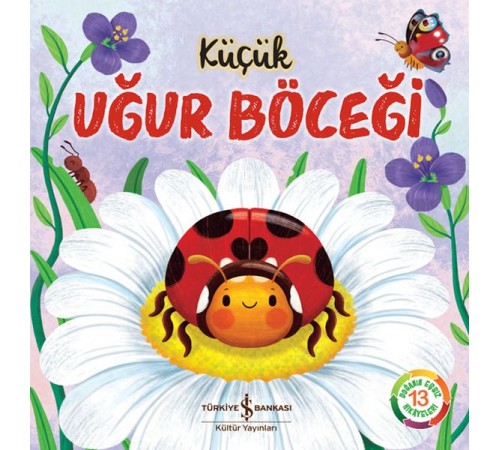 Küçük Uğur Böceği