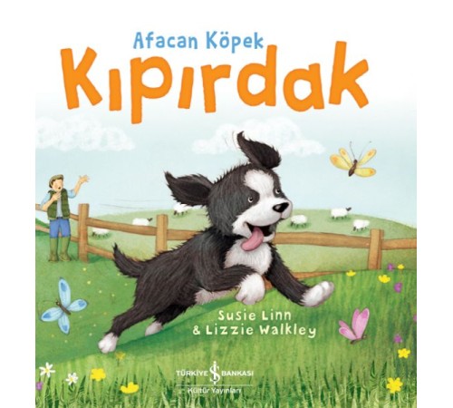Afacan Köpek Kıpırdak