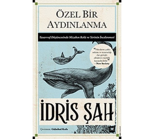 Özel Bir Aydınlanma