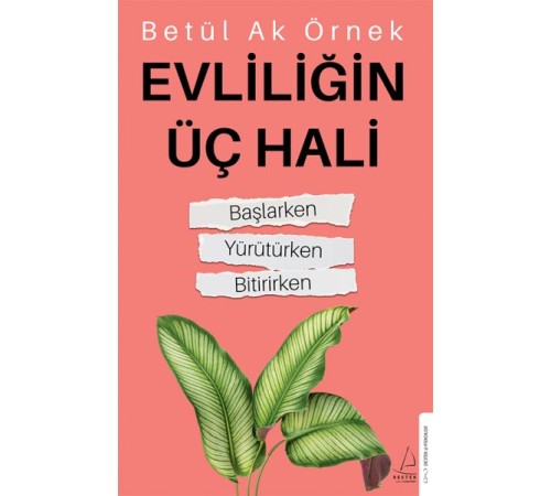 Evliliğin Üç Hali