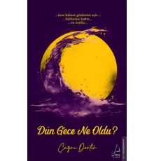 Dün Gece Ne Oldu?