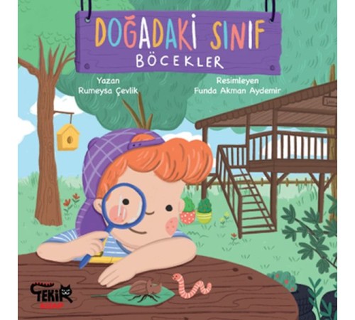 Doğadaki Sınıf- Böcekler