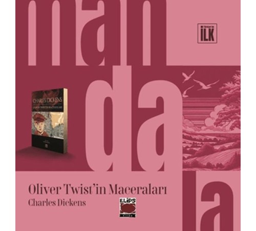 Mandala Dünyası - Oliver Twist’in Maceraları