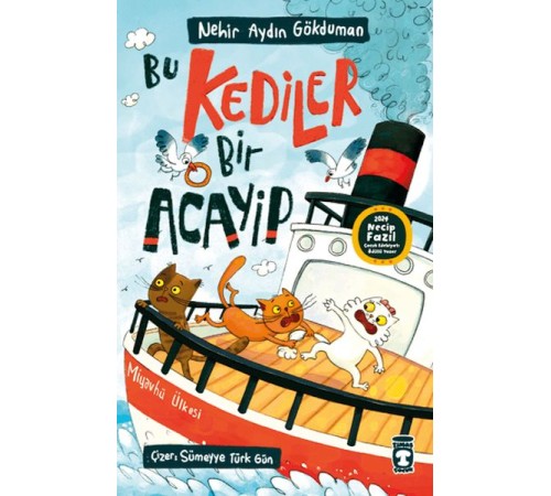Bu Kediler Bir Acayip