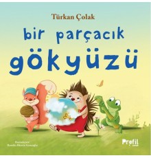 Bir Parçacık Gökyüzü