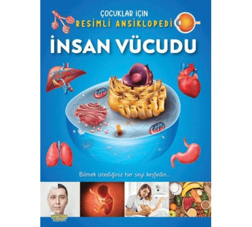 İnsan Vücudu - Çocuklar İçin Resimli Ansiklopedi
