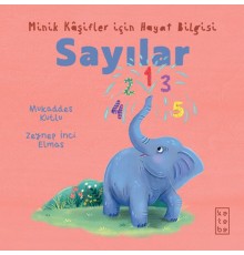 Minik Kâşifler için Hayat Bilgisi - Sayılar