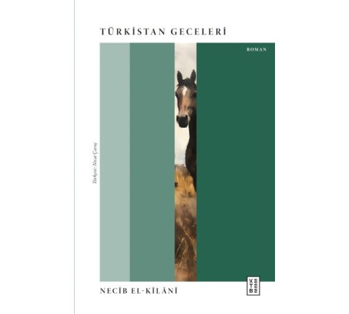 Türkistan Geceleri