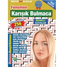 Fenomen Karışık Bulmaca 11