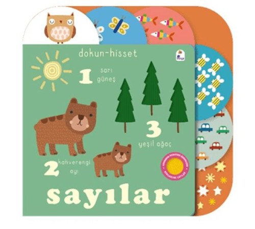 Dokun- Hisset / Sayılar Dokun- Hisset / Sayılar