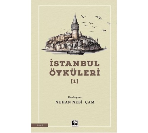 İstanbul Öyküleri 1