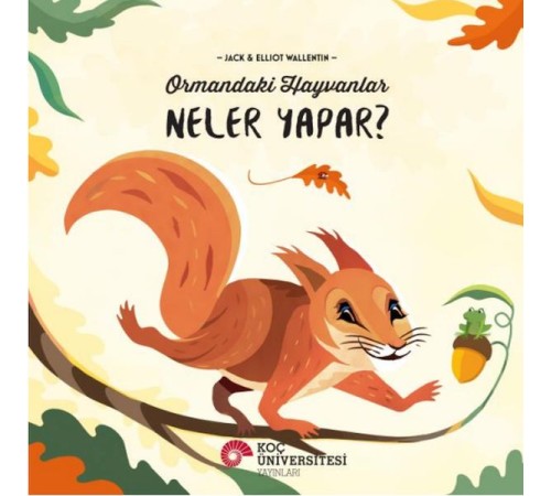 Ormandaki Hayvanlar Neler Yapar? Ormandaki Hayvanlar Neler Yapar?
