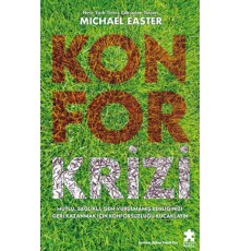 Konfor Krizi