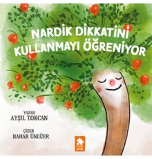 Nardik Dikkatini Kullanmayı Öğreniyor