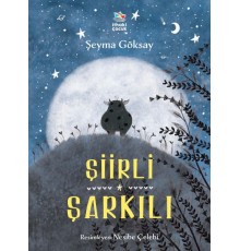 Şiirli Şarkılı