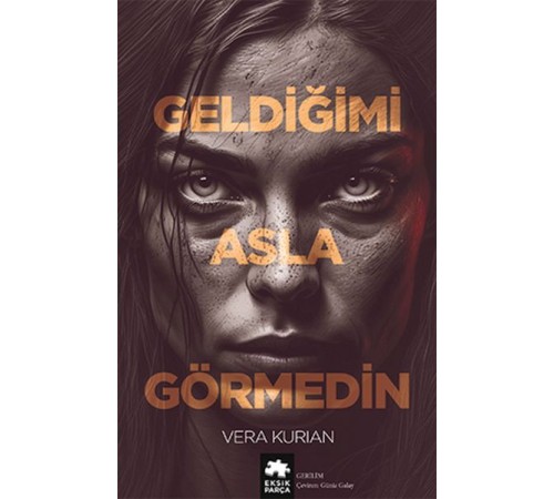 Geldiğimi Asla Görmedin Geldiğimi Asla Görmedin