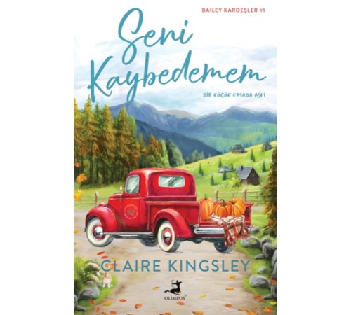 Seni Kaybedemem