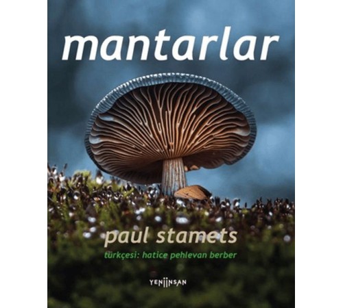 Mantarlar