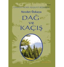 Omnia Mors Aequat Beşlisi-II Dağ ve Kaçış
