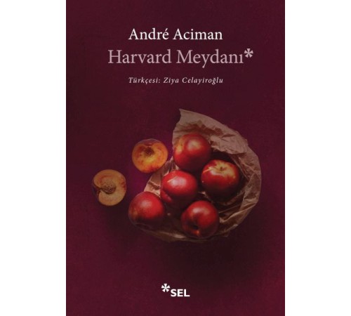 Harvard Meydanı Harvard Meydanı
