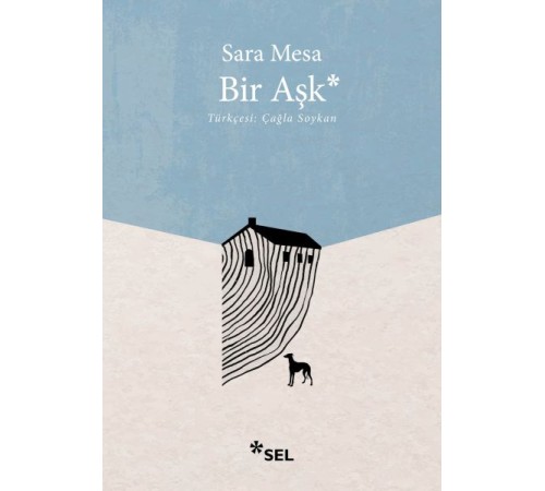 Bir Aşk