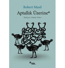 Aptallık Üzerine