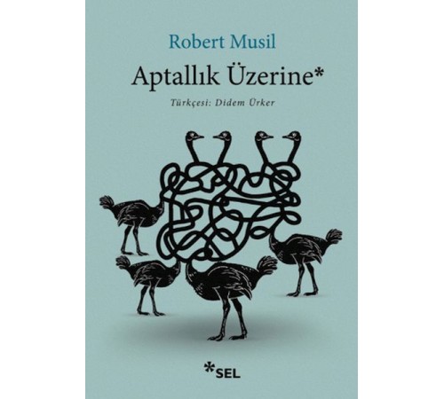 Aptallık Üzerine