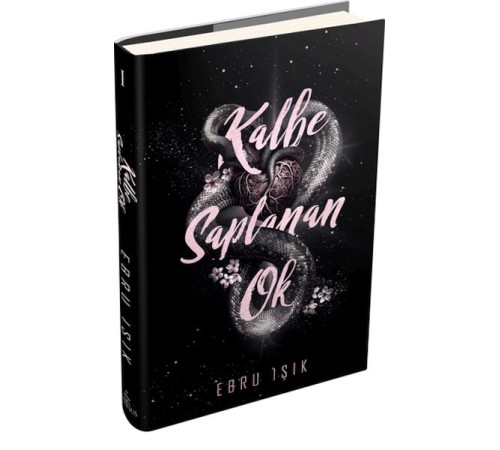 Kalbe Saplanan Ok 1