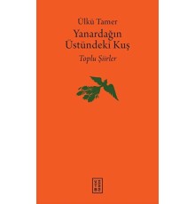 Yanardağın Üstündeki Kuş