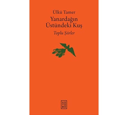 Yanardağın Üstündeki Kuş