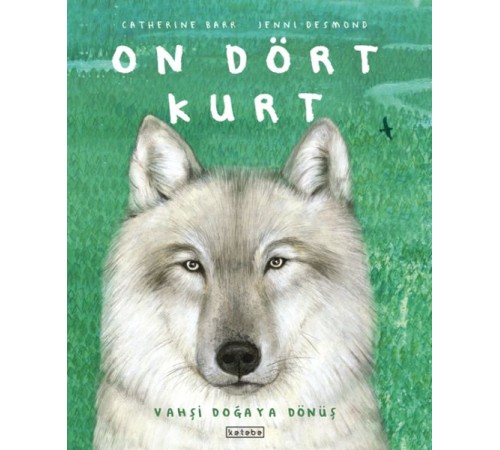 On Dört Kurt