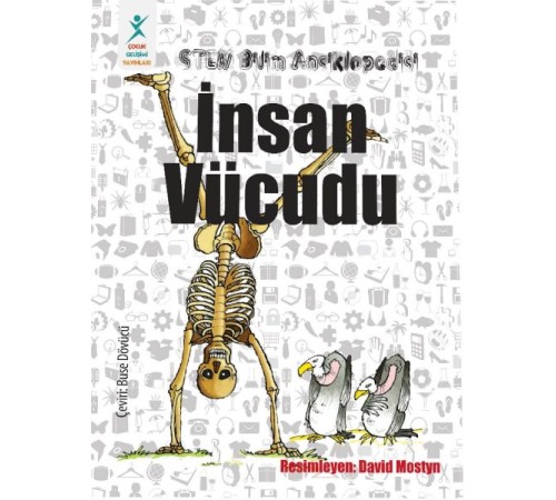 İnsan Vücudu