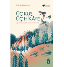 Üç Kuş, Üç Hikâye