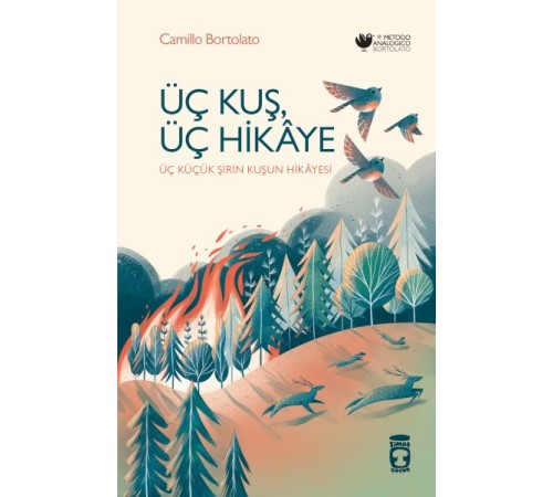 Üç Kuş, Üç Hikâye