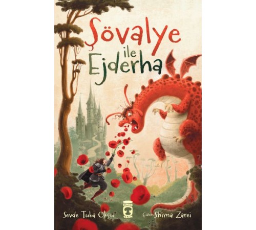 Şövalye ile Ejderha Şövalye ile Ejderha