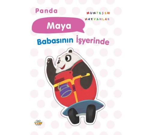 Panda Maya Babasının İşyerinde