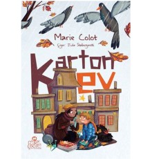 Karton Ev