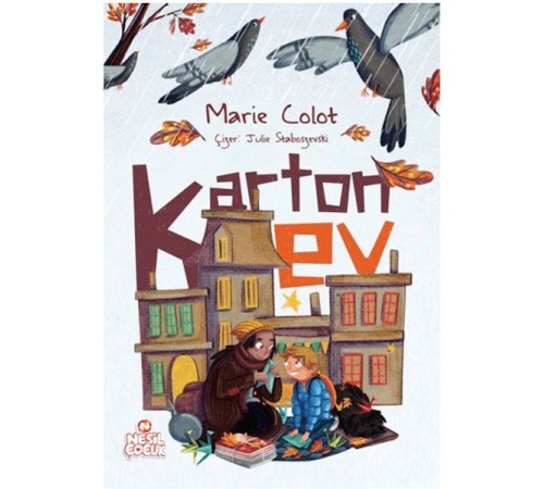 Karton Ev Karton Ev