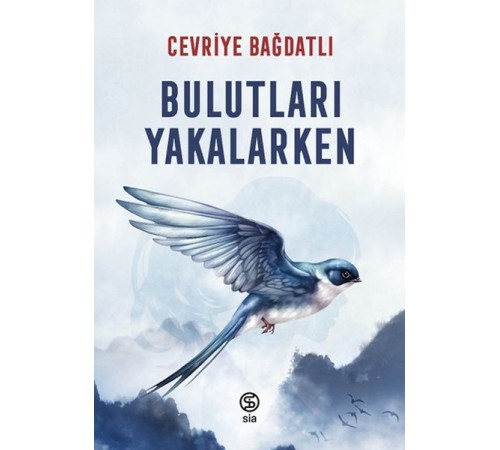 Bulutları Yakalarken